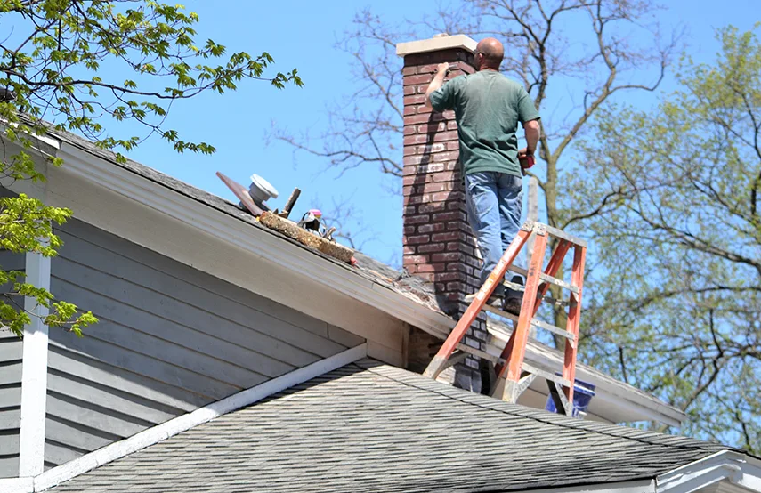 Chimney & Fireplace Inspections Services in Smyrna, TN